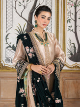 Load image into Gallery viewer, ZAINAB CHOTTANI VELVET COLLECTION &#39;24 Velvet salwar kameez UK, Embroidered Collection at our Pakistani Designer Dresses Online Boutique. Pakistani Clothes Online UK- SALE, Zainab Chottani Wedding Suits, Luxury Lawn &amp; Bridal Wear &amp; Ready Made Suits for Pakistani Party Wear UK on Discount Price