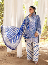 Load image into Gallery viewer, ZAINAB CHOTTANI | TAHRA LAWN &#39;24 | LEENA - D 4A