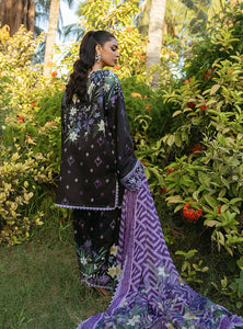 ZAINAB CHOTTANI | TAHRA LAWN '24 | RAHA - D 6B