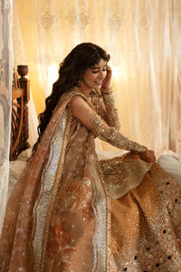 AFROZEH | Hayat Wedding Collection '24 | Nooray