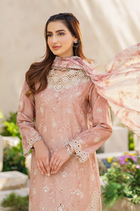 IZNIK | FESTIVE LAWN '24 | SFL-11 EMBROIDERED LAWN