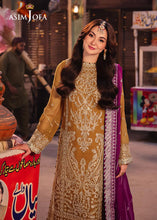 Load image into Gallery viewer, Asim Jofa | Chamkeeli - AJKK-12