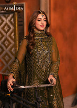 Load image into Gallery viewer, Asim Jofa | Chamkeeli - AJKK-16