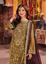 Load image into Gallery viewer, Asim Jofa | Chamkeeli - AJKK-23