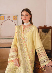 Akbar Aslam | Lawn Collection '24 | Caviar