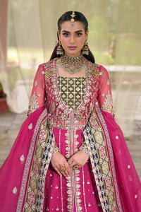 QALAMKAR | SINGHAR-WEDDING FORMALS '24 | RF-04 RIMEL