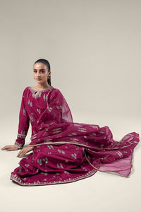 Maria.B | 2 Pc Embroidered Raw Silk Suit '24 | MB-WF24-19