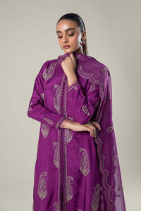 Maria.B | 2 Pc Embroidered Raw Silk Suit '24 | MB-WF24-29