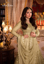 Load image into Gallery viewer, Asim Jofa | Chandni Raatein | AJCR-08