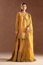 Load image into Gallery viewer, Shop Emaan Adeel | Selene &#39;24 @ lebaasonline Velvet, Net Embroidered hand mirror work, New Indian Wedding dresses online USA &amp; Pakistani Designer Partywear Suits in the UK and USA at LebaasOnline. Browse new EMAAN ADEEL - 2024 Pakistani Dress &amp; Nikah dresses SALE at LebaasOnline. 