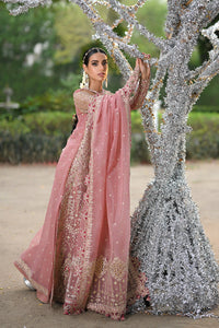 QALAMKAR | SINGHAR-WEDDING FORMALS '24 | RF-02 SALEHA