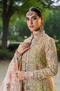 QALAMKAR | SINGHAR-WEDDING FORMALS '24 | RF-07 HALENA