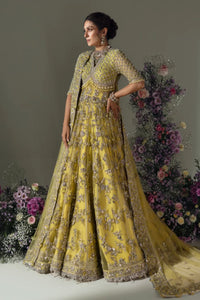 ELAN | WEDDING FESTIVE 2024 | (EC24-03)