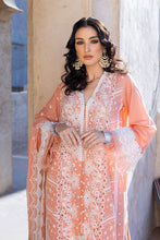 Load image into Gallery viewer, SOBIA NAZIR VITAL LAWN  2022-11B Peach Embroidered LAWN 2022 Collection: Buy SOBIA NAZIR VITAL PAKISTANI DRESSES in the UK &amp; USA on SALE Price @lebaasonline. We stock SOBIA NAZIR COLLECTION, MARIA B M PRINT Sana Safinaz Luxury Stitched/customized with express shipping worldwide including France, UK, USA, Belgium